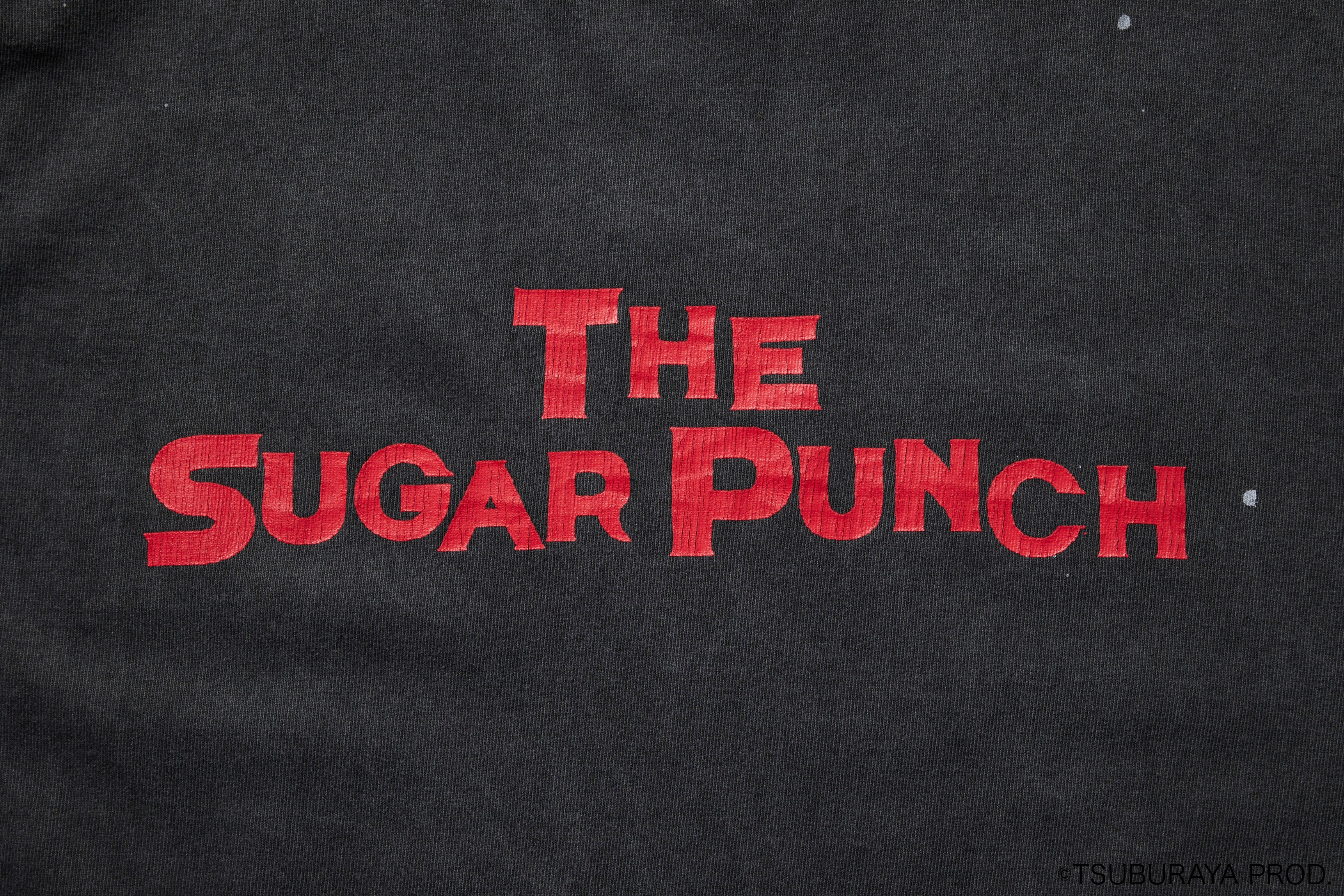 ULTRAMAN LONGSLEEVE (DADA)/TSUM23SM001