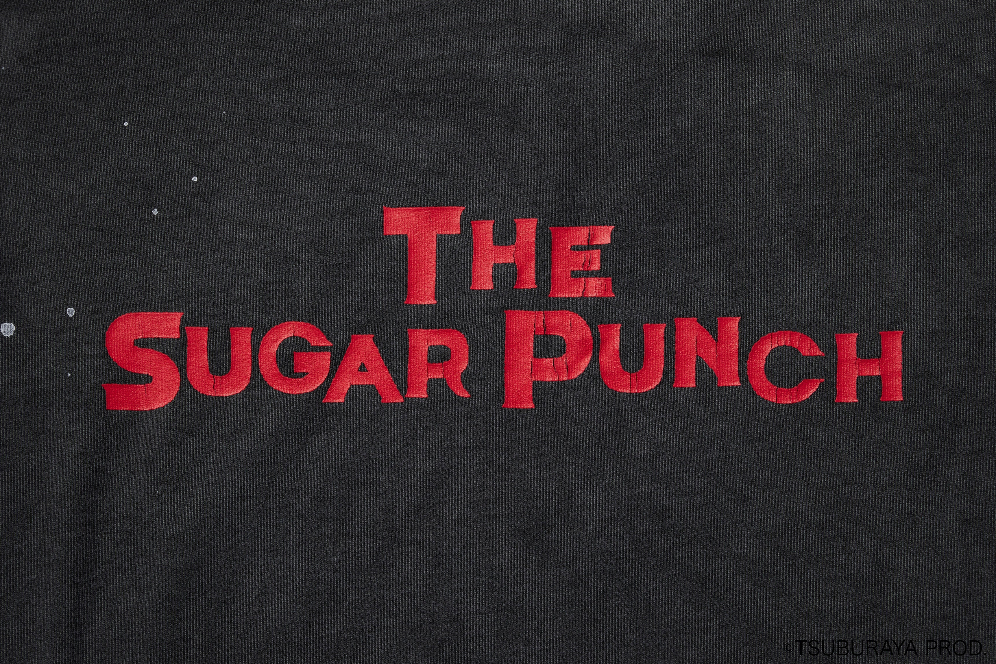 ULTRAMAN SWEATSHIRT (ZETTON)/TSUM23SM006