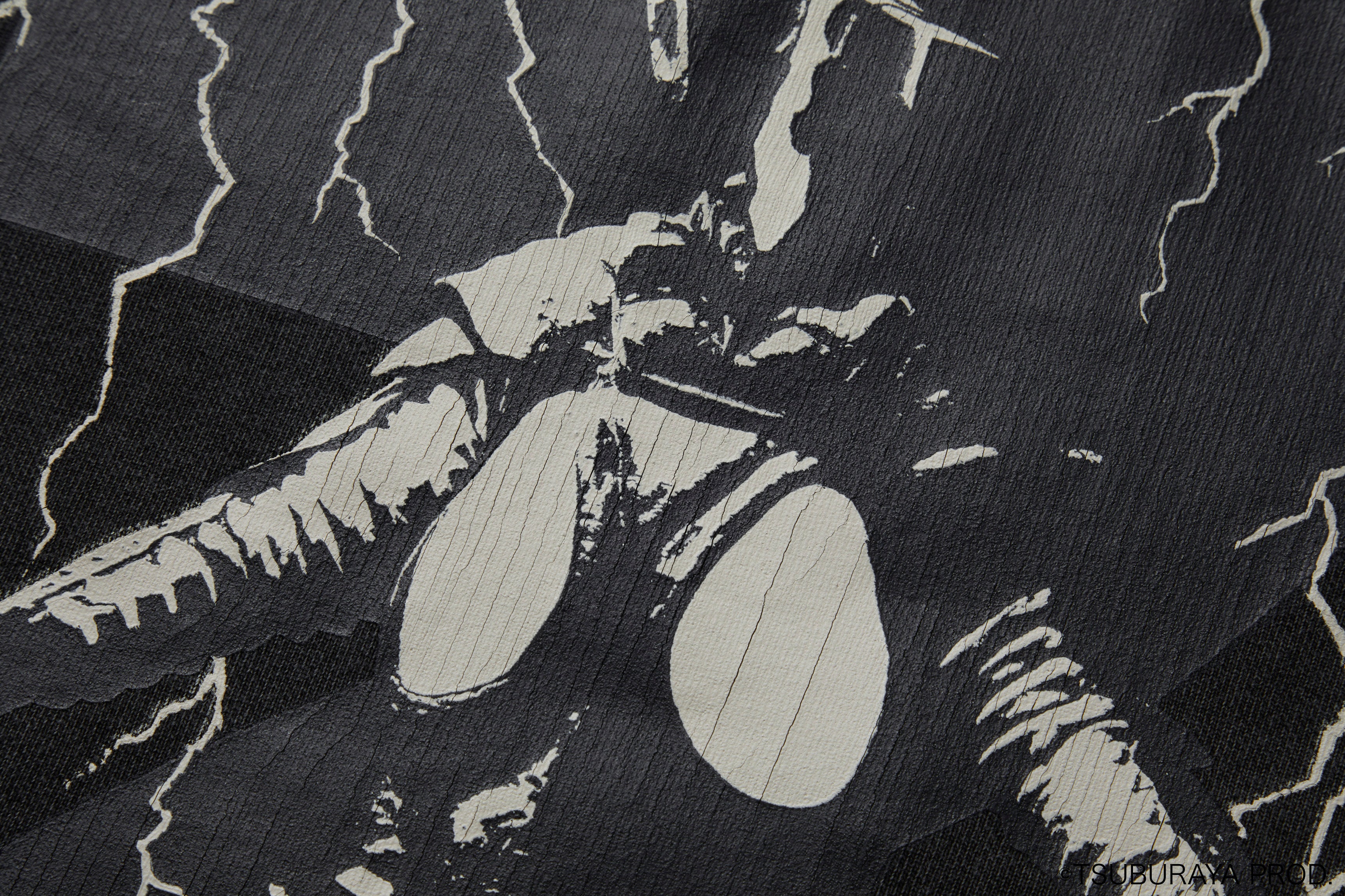 ULTRAMAN SWEATSHIRT (ZETTON)/TSUM23SM006