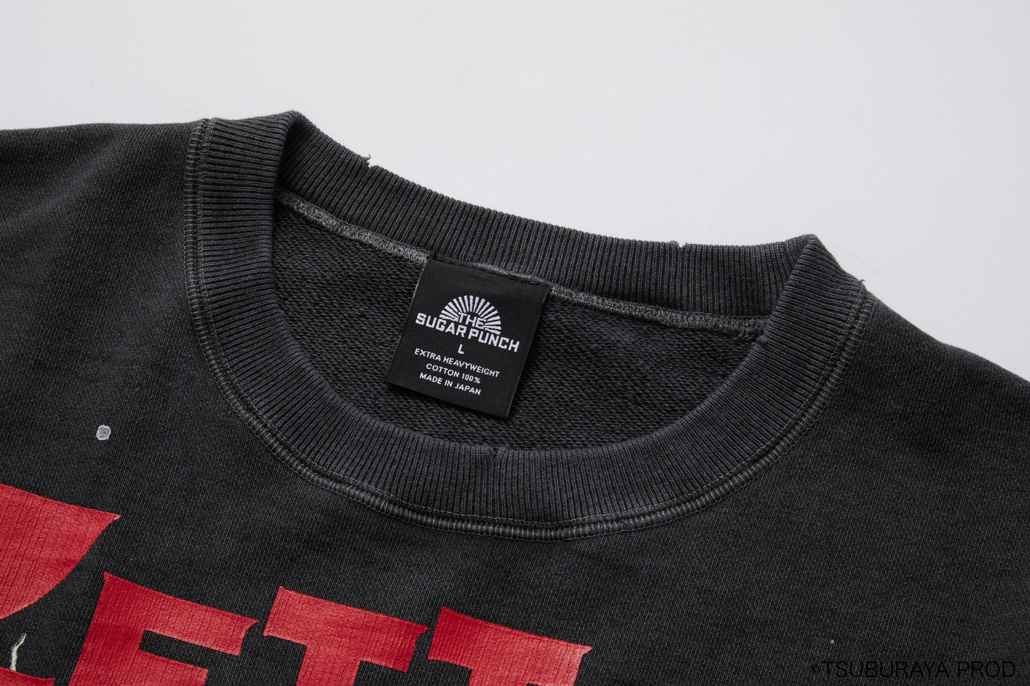 ULTRAMAN SWEATSHIRT (ZETTON)/TSUM23SM006