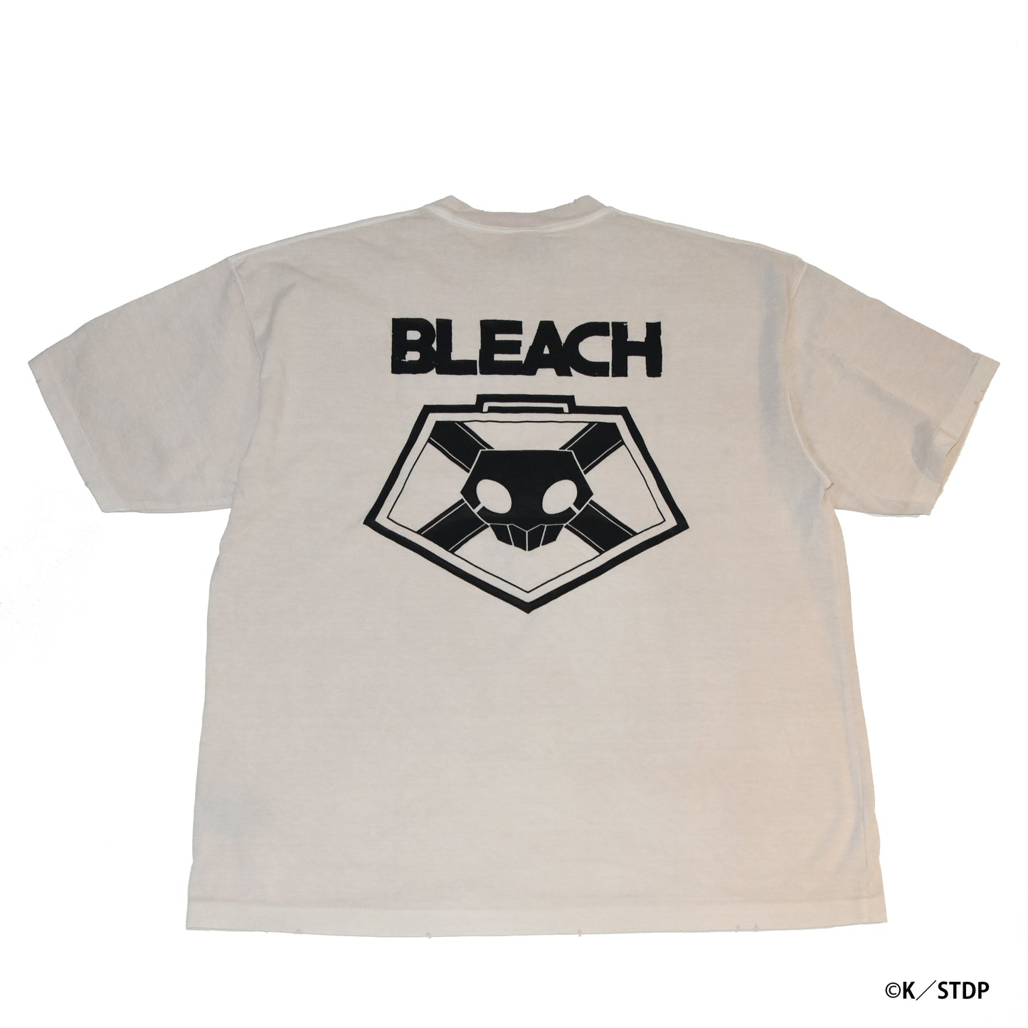 BLEACH S/S T-Shirt (ICHIGO)/TBLM24AM001